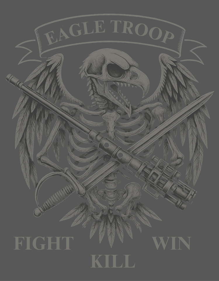 EAGLE TROOP 2-15 CAV