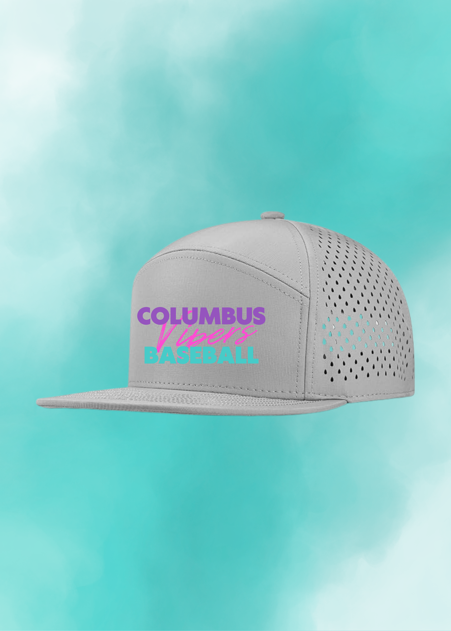 Vipers Fan / Training Hat