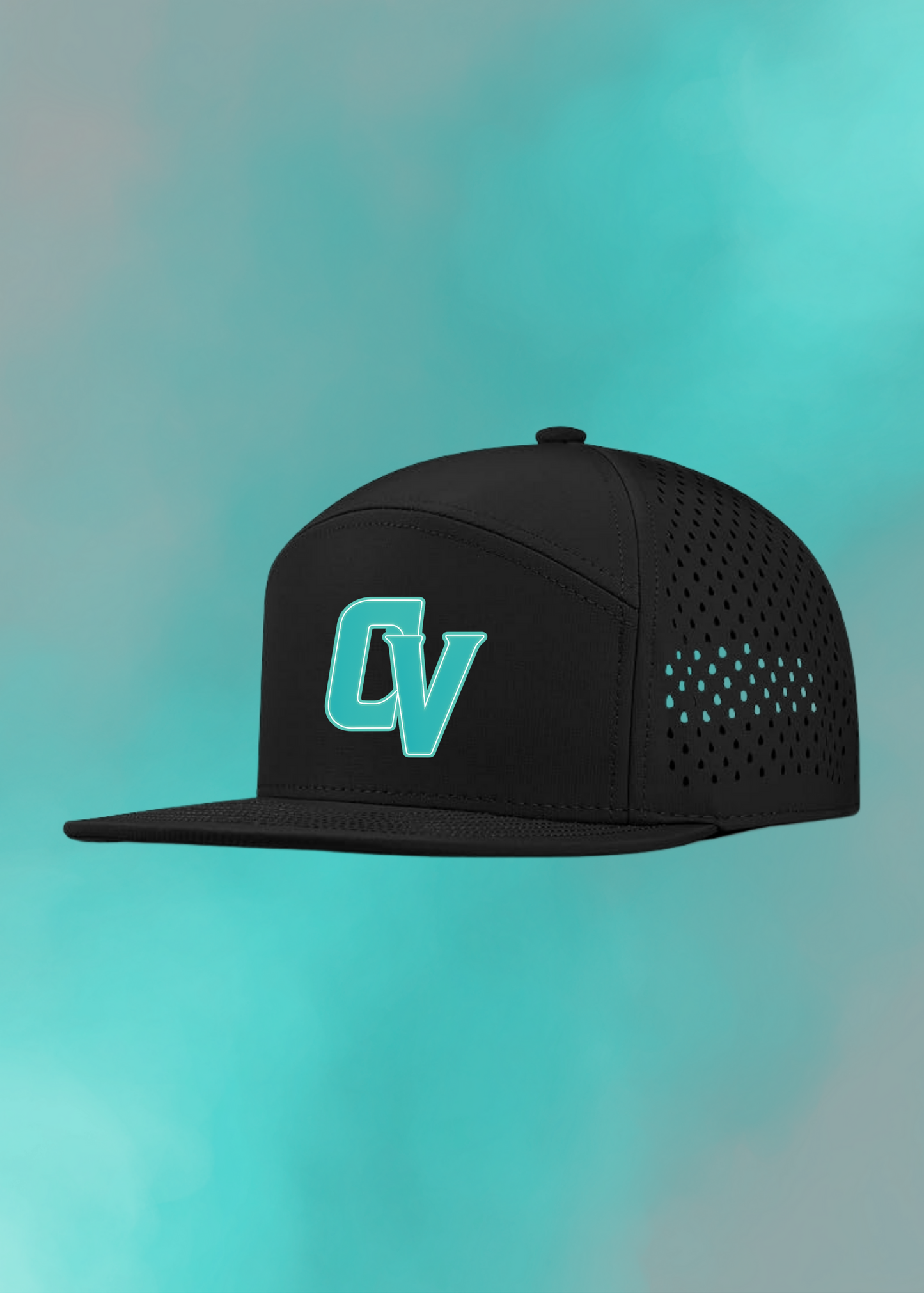 Vipers Fan / Training Hat