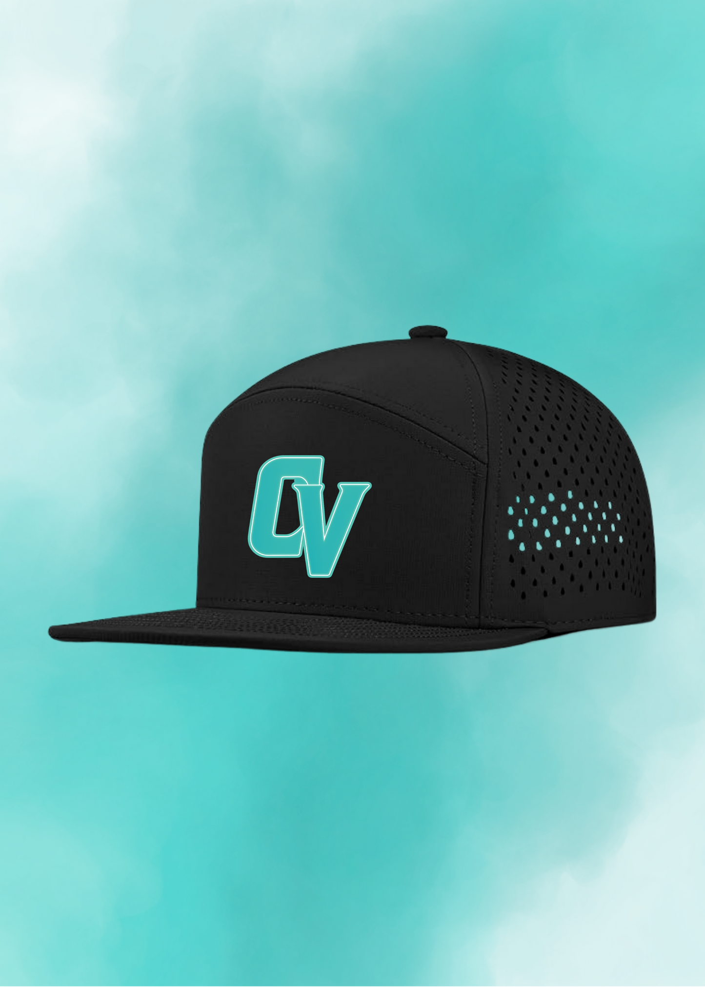 Vipers Fan / Training Hat