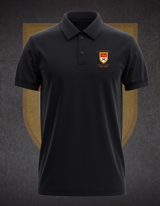 2-15 CAV SQUADRON POLO