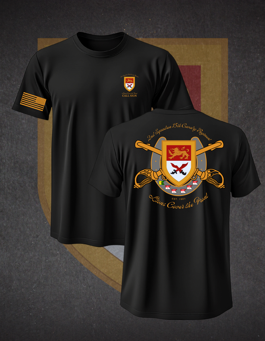 2-15 CAV SQUADRON PT SS