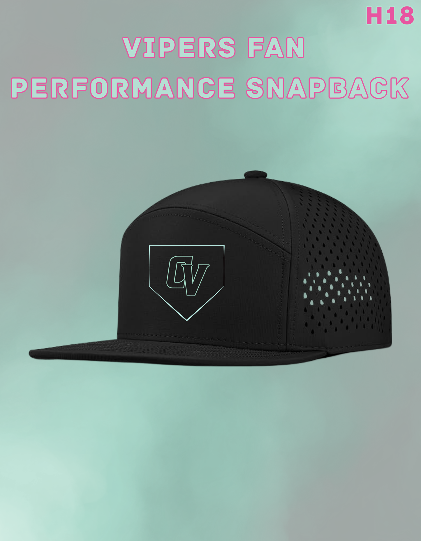 CV Diamond Snapback