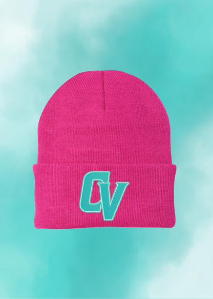 Vipers Fan Beanie